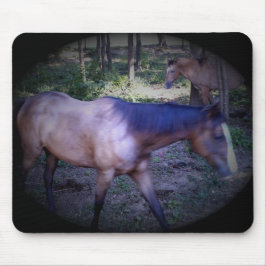 Pferd 2 Mousepad