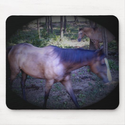 Pferd 2 Mousepad (Vorne)