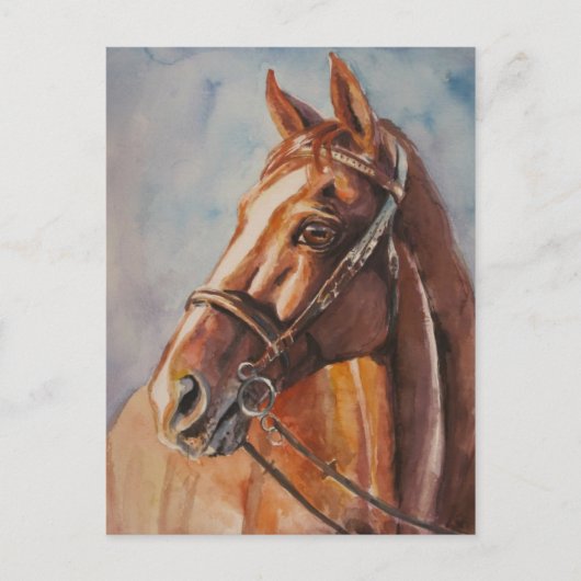 Pferd 2 postkarte (Vorderseite)