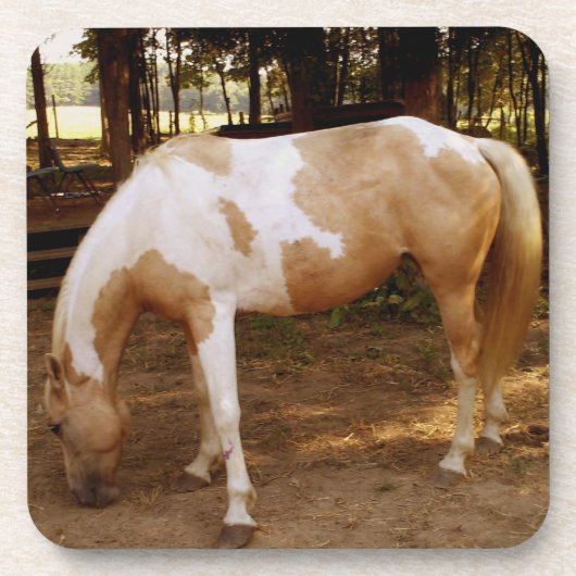 Pferd 3 getränkeuntersetzer (Vorderseite)