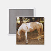 Pferd 3, Magnet (Vorderseite/Rückseite)