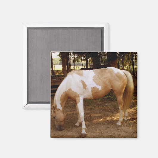 Pferd 3, Magnet (Vorderseite/Rückseite)