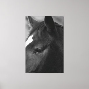 Pferd 40x60 (100x150cm) Wacm Leinwanddruck