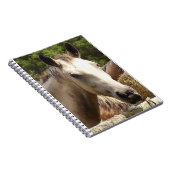 Pferd 4 Notebook Notizblock (Rechte Seite)