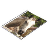 Pferd 4 Notebook Notizblock (Linke Seite)
