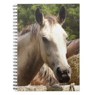 Pferd 4 Notebook Notizblock