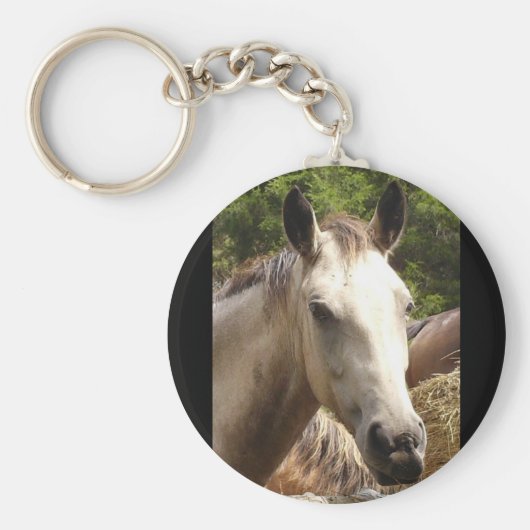 Pferd 4 Schlüsselanhänger (Vorne)