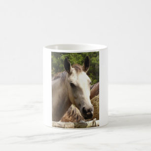 Pferd 4 Tasse