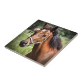 Pferd 8674 fliese (Seite)