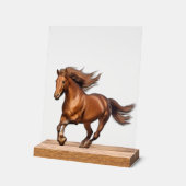 Pferd Acrylschild (Winkel)