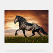 Pferd Acrylschild (Vorderseite)