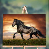 Pferd Acrylschild (Neutral)