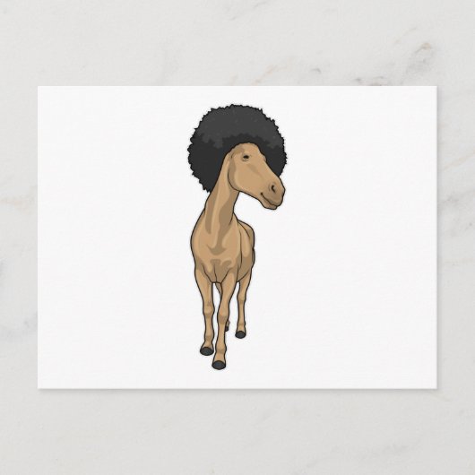 Pferd Afro Postkarte (Vorderseite)