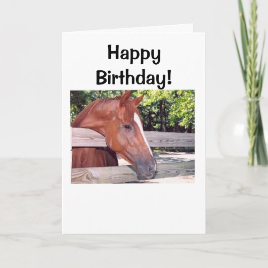 Pferd, alles Gute zum Geburtstag! Karte (Vorderseite)