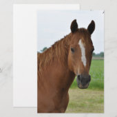 Pferd am Baum Briefpapier (Vorne/Hinten)