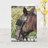 Pferd am Hitchende Karte (Gelbe Blume)