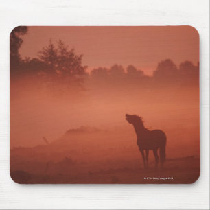 Pferd am Sonnenaufgang Mousepad