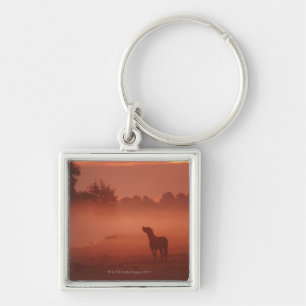 Pferd am Sonnenaufgang Schlüsselanhänger