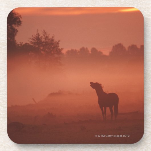 Pferd am Sonnenaufgang Untersetzer (Vorderseite)