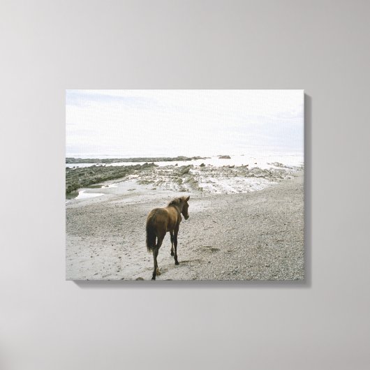 Pferd am Strand Leinwanddruck (Vorderseite)
