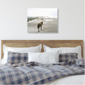 Pferd am Strand Leinwanddruck (Insitu (Schlafzimmer))