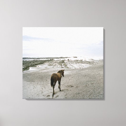 Pferd am Strand Leinwanddruck (Vorderseite)