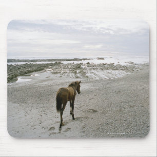 Pferd am Strand Mousepad