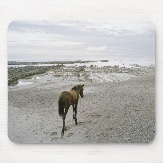 Pferd am Strand Mousepad (Vorne)