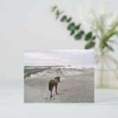 Pferd am Strand Postkarte (Stehend Vorderseite)