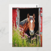 Pferd an der Barenttür Postkarte (Vorne/Hinten)