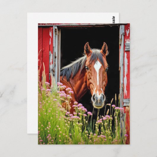 Pferd an der Barenttür Postkarte (Vorne/Hinten)