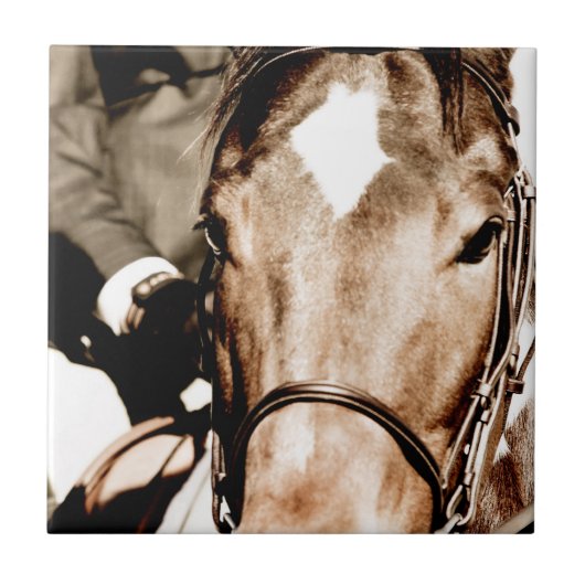 Pferd anzeigen fliese (Vorderseite)