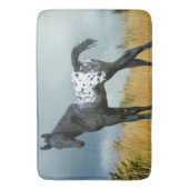 Pferd - Appaloosa-Colt 24" x 6" große Bad-Matte Badematte (Vorderseite Vertikal)