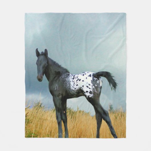 Pferd - Appaloosa-Colt-Fleece-Decke Fleecedecke (Vorderseite)