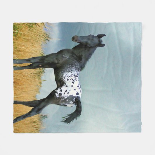 Pferd - Appaloosa-Colt-Fleece-Decke Fleecedecke (Vorderseite (Horizontal))