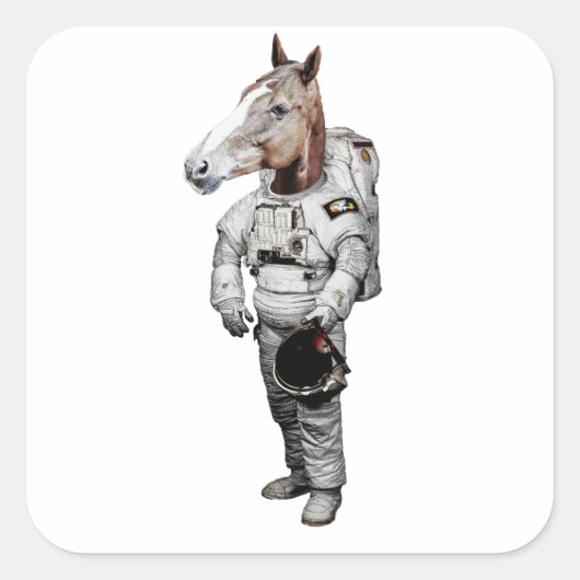 Pferd Astronaut Sticker (Vorderseite)