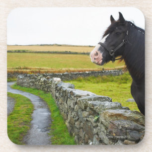Pferd auf Bauernhof in ländlichem England Getränkeuntersetzer