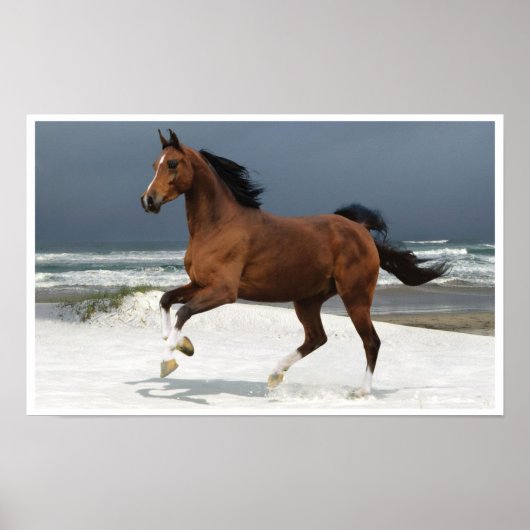 Pferd auf dem Beach Art Print Poster laufen (Vorne)