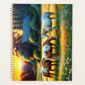 Pferd auf der Farm Wildblumenwiese Planer (Vorderseite)