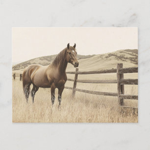 Pferd auf der Vintagen Sepia-Range Postkarte