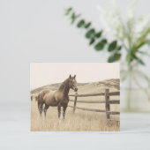 Pferd auf der Vintagen Sepia-Range Postkarte (Stehend Vorderseite)