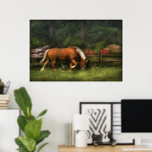 Pferd - auf der Wiese Poster (Heimbüro)