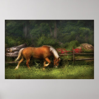 Pferd - auf der Wiese Poster