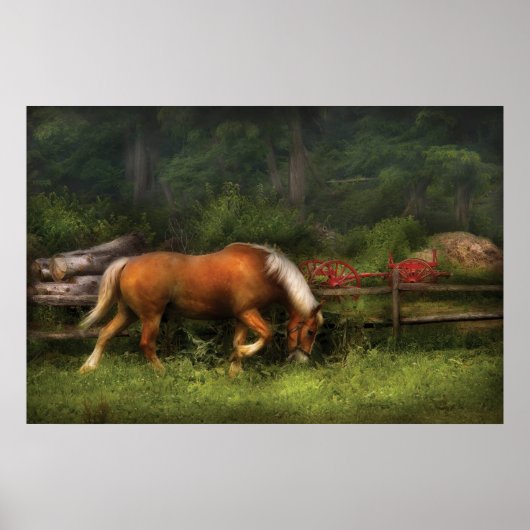 Pferd - auf der Wiese Poster (Vorne)