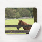 Pferd auf einem Bauernhof, das sich von einem Baum Mousepad (Mit Mouse)