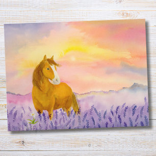 Pferd auf einem Lavendelfeld während des Sonnenunt Postkarte