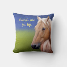 Pferd auf einem üppigen grünen Feld in einem Somme