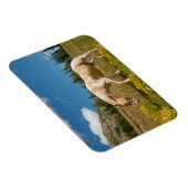 Pferd auf Gräsern im Sommer auf der Alp Wiese Magnet (Rechte Seite)
