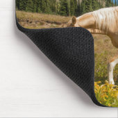 Pferd auf Gräsern im Sommer auf der Alp Wiese Mousepad (Ecke)
