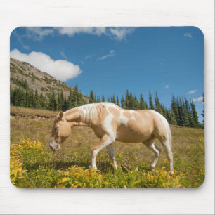 Pferd auf Gräsern im Sommer auf der Alp Wiese Mousepad